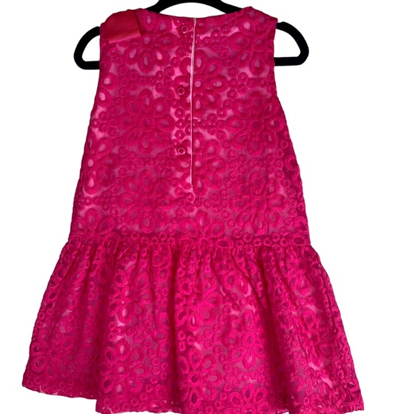 Gymboree Girls Special Occassion Lace Drop Waist Dress Fuchsia Pink NEW - Picture 12 of 13